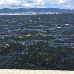 太刀魚、サゴシ、ハマチ、爆風